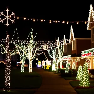 Jacksonville's 2024 Holiday Lights Displays: A Festive Experience