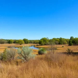 Lush greenery and wildlife in Jonathan Dickinson State Park